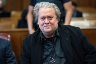 Steve Bannon