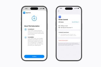 The new type of subscription will be available to developers around the world, except for the US and Singapore. (Image: Apple)