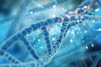 One of the most striking insights from the study is that human evolution may have sped up after the transition from hunting and gathering to farming. (Image: Magnific)