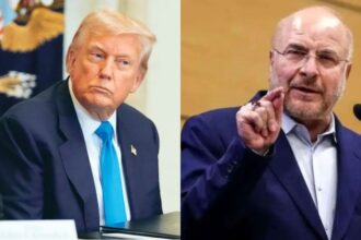 donald trump, bagher ghalibaf,