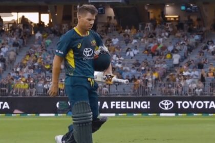 Former cricketer David Warner in action for Australia. (X/cricket.com.au)
