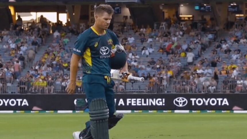 Former cricketer David Warner in action for Australia. (X/cricket.com.au)
