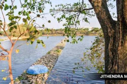 Case of the disappearing water bodies: Survey reveals 8,940 of them missing in Bihar