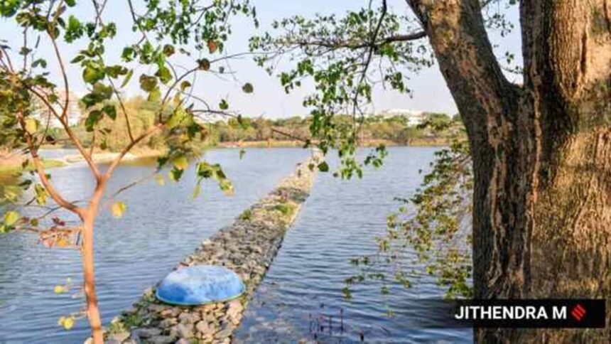Case of the disappearing water bodies: Survey reveals 8,940 of them missing in Bihar