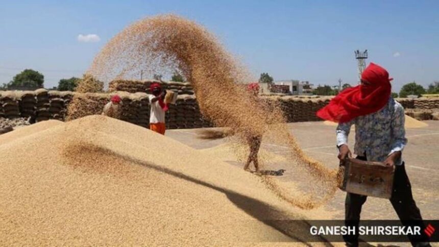 wheat procurement in Madhya Pradesh, Wheat procurement, wheat production, wheat, Shivraj Singh Chouhan, Indian express news, current affairs