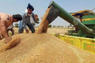 Wheat procurement slowdown hits Rabi season 2026-27 as Madhya Pradesh lags, pulling down overall national numbers compared to last year.