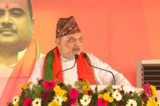 Amit Shah Smart Border project, Amit Shah illegal infiltration, illegal infiltration, Amit Shah, Pakistan illegal infiltration, Bangladesh illegal infiltration, Indian express news, current affairs