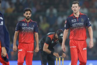 Bhuvneshwar Kumar and Josh Hazlewood have spearheaded the RCB attack successfully since last season. (CREIMAS)