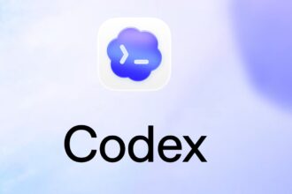 OpenAI said adoption of its AI-powered coding tool Codex is rising rapidly in India. (Image: OpenAI)