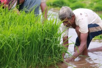 Weather scientists said that the newly developed products will significantly help manage and plan agriculture, water resource management,