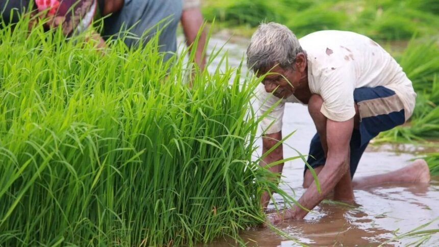 Weather scientists said that the newly developed products will significantly help manage and plan agriculture, water resource management,