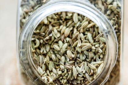 Fennel Seeds, saunf