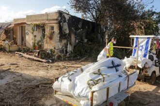 File:Disaster Victim Identification after 2023 Hamas attack on Israel