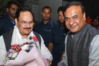 Himanta biswa