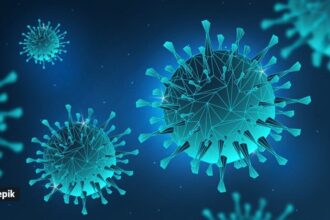 infectious diseases