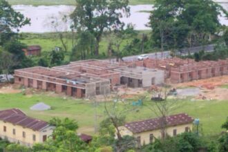 Kaziranga illegal constructions, Kaziranga illegal constructions complaint, Kaziranga