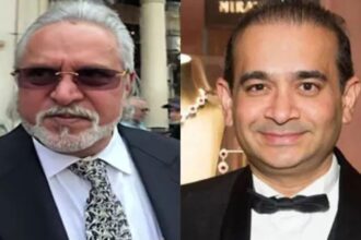 ED Vijay Mallya Nirav Modi