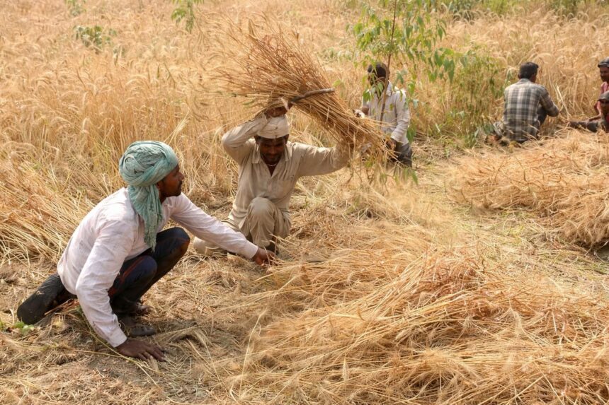 MGNREGA workers file