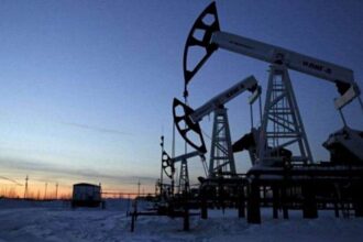 oil