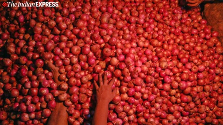 onion procurement 2026, onion, nafed