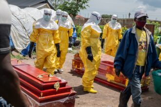 Ebola watch, Ebola cases, World Health Organization, Ebola crisis, Ebola outbreak, Ebola threat, Fourth India-Africa Forum Summit, Indian express news, current affairs