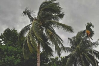 monsoon