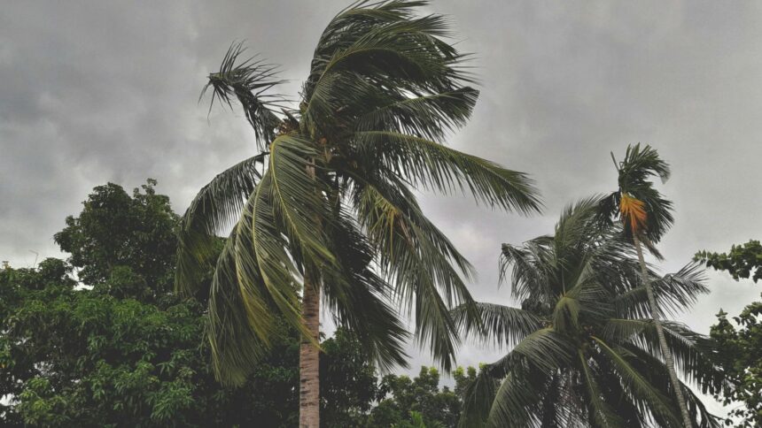 monsoon