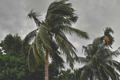 The normal monsoon onset date over Kerala, which marks the commencement of the season over the country, is June 1 with a likely deviation of 7 days.
