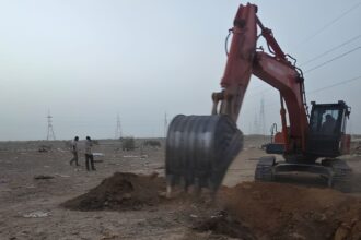 Rotting cow carcasses at a municipal landfill in Rajasthan’s Jaisalmer