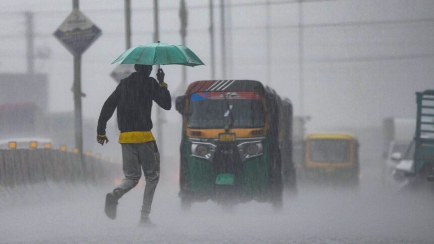 A man carrying an umbrella crosses a road amid rainfall, in Chikkamagaluru, Karnataka. (PTI Photo)
