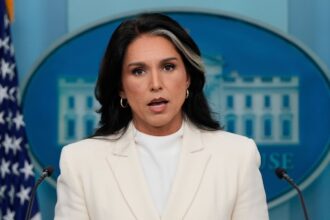 Director of National Intelligence Tulsi Gabbard, trump