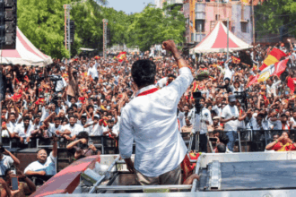 TVK, DMK, AIADMK, Vijay