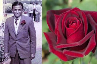 TP Singh, TP Singh obit, TP Singh obituary, TP Singh dead, TP Singh death, TP Singh passes away, Hybrid rose Tribhuvan, Tribhuvan, Indian express news, current affairs