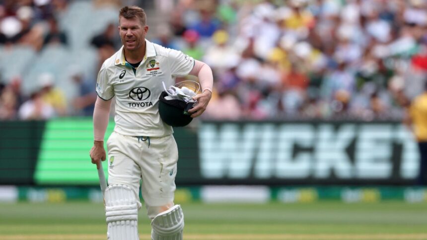 Australian cricketer David Warner in action. (FILE PHOTO: AP)