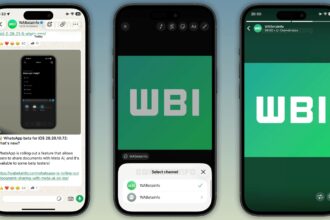 WhatsApp expands Channels with 24-hour photo and video status updates. (Image: WABetaInfo)