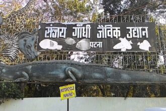 Where poets wandered and politicians met: The evolution of Sanjay Gandhi Biological Park, now Patna Zoo