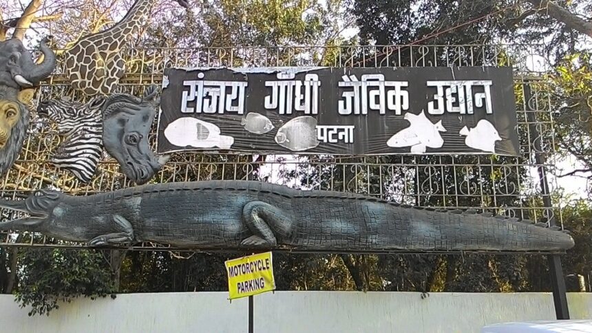 Where poets wandered and politicians met: The evolution of Sanjay Gandhi Biological Park, now Patna Zoo