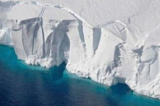 antartica picture