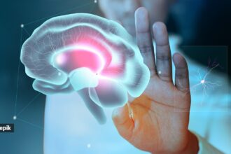 Menin protein can reverse brain aging