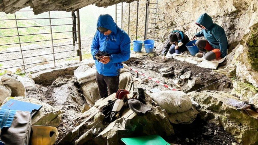 Ancient ornaments, hearths and copper minerals found in Spain's highest prehistoric cave (Image: IPHES-CERCA)