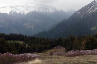 Hindu Kush Himalaya region to face drier monsoon, but threats of climate-induced hazards remain: New analysis