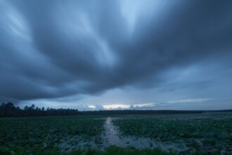 Monsoon