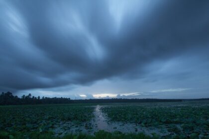 Monsoon