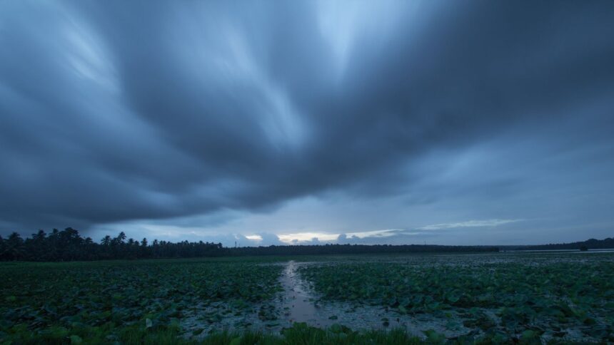 Monsoon