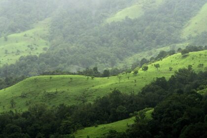 Kudremekh