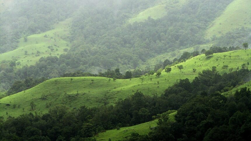 Kudremekh