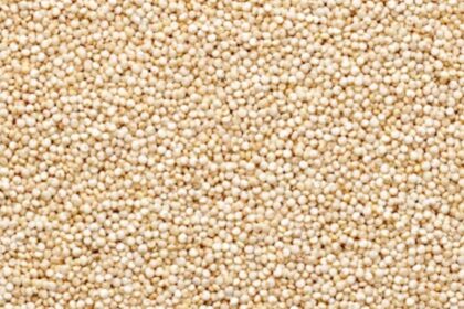 weak monsoon 2026 millet cultivation