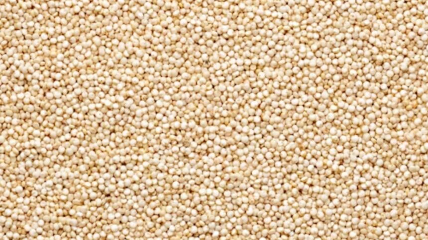 weak monsoon 2026 millet cultivation