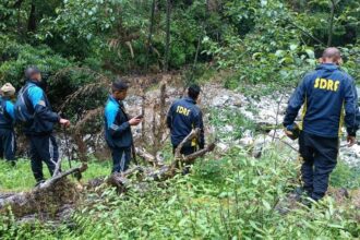 Noida engineer missing near Pindari Glacier: Camera found on riverbank after he told porter to go ahead