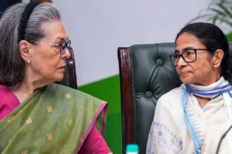 sonia mamata